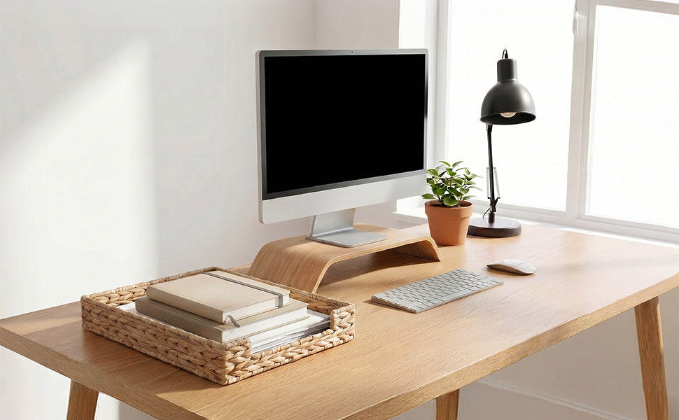 File Organizer