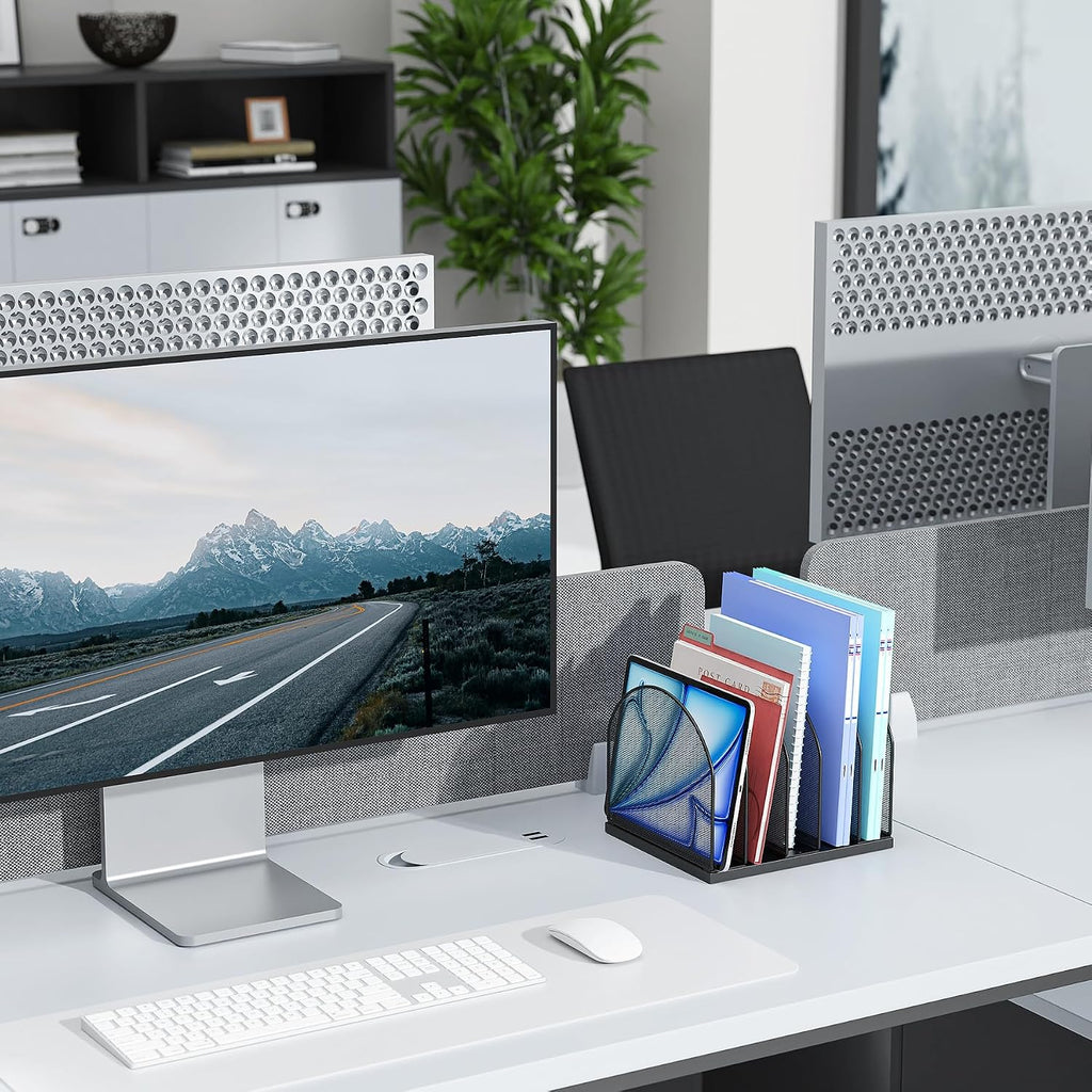 File Organizer