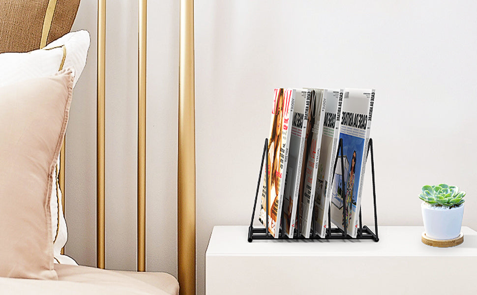 File Organizer